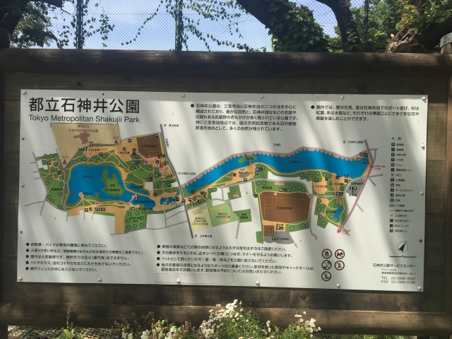 石神井公園の行き方やアクセス方法 行った感想レビュー タビホリ